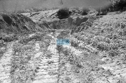 JC 011470 GDAŃSK-OLIWA