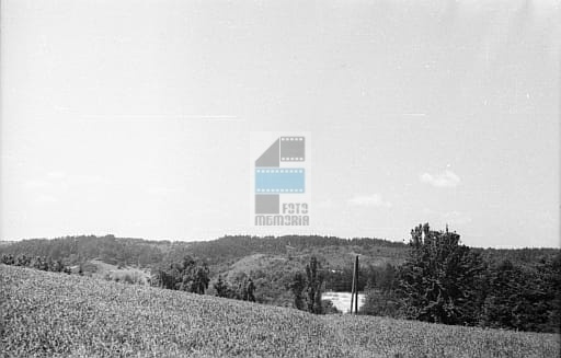bf369ce7a565756ebf55c264a0cf8a42