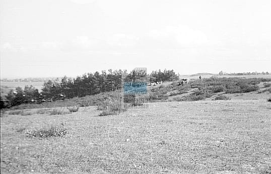 80520861afc2d1466deb5d6cc2375966