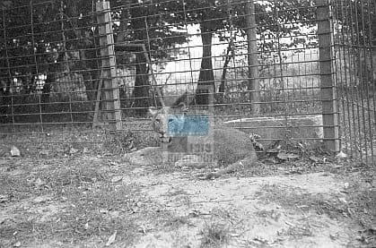 13193fe3dc8f7d1a1301a8cf2eaf0062