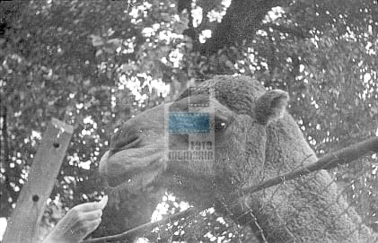 14afc48dd6cb6d879472df53b215bc8f