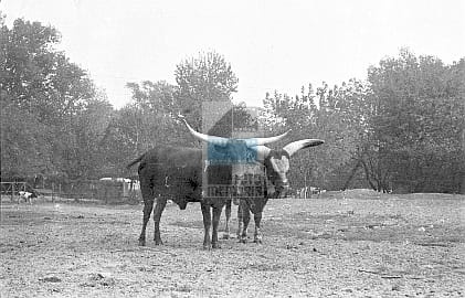 28d66349624d2d72dc1f31ee21497142