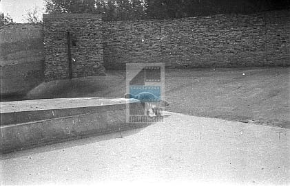 3b101bb43d88c051a7bc422762f01309