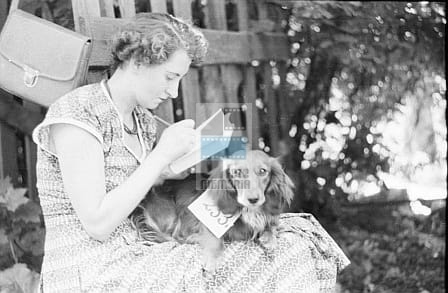 07e9d6f4614d58f60196259cff67d85c