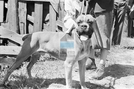 23feb01a14087fe2bc3dae380998fd1e