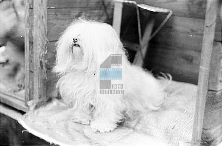 e5dc23ff52d2b6f4457133c7cbb86ef9