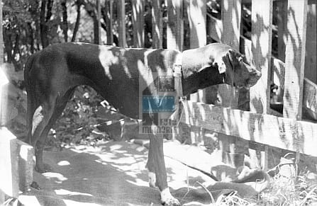 3fcb5a6f62aac42e93c61152c5205be5