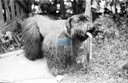 91af5924d9048043add19f18fcde4773