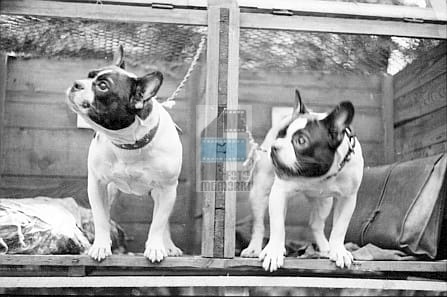 e965a8c75a45e52727e31377ba07c06a