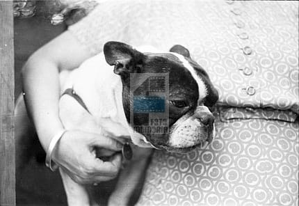 8ca0f73474bf228227836678e9181dc3