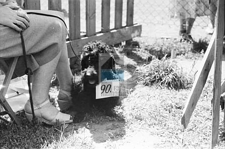 d93bd7294ff875ff3ee76b5f813dd74f