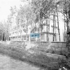 0373b0c195258811a567eb36553e3161