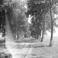 Gmina PRZEMĘT