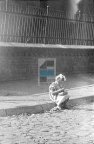 JC 014666b CHEŁMŻA