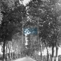 Panoramy