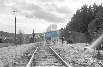 JC 013937 KOMAŃCZA