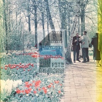 KEUKENHOF