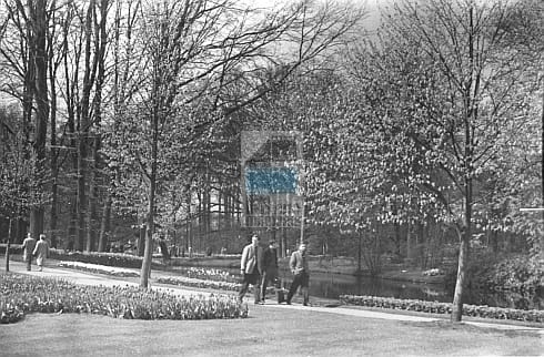 13a46487f6cf43e94993318c21269a24