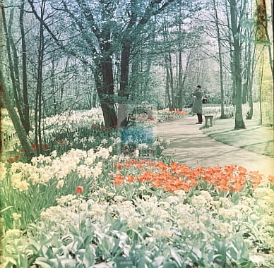 2f35eab6682e4129e301e144e64fa058