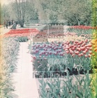 243b7b817d31174baee4d18ead5b0530