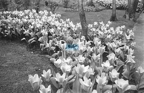 200c247e950cb64638fa5e3a988f6afd