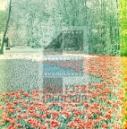 177ae83ed37b1138ac3ab4596a1341ff