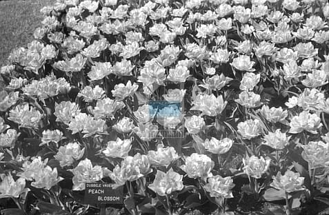 285f82879caa1f0f71c428b3988a9db3