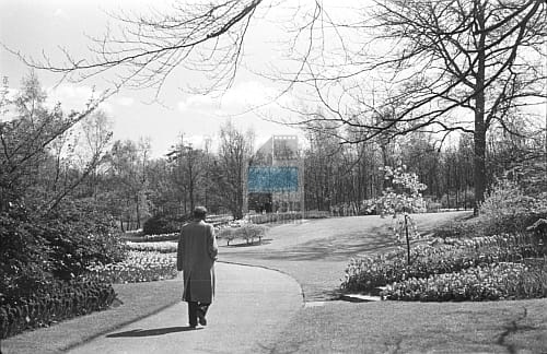 14df4d575b627676457a5d79bc98b265