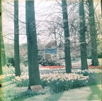 2b03e8142c11e8fda4c28d64173e00ff