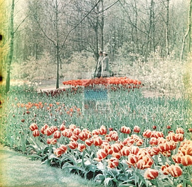 34dee73853d475e7793b8420d96e5308