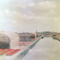 HILLEGOM