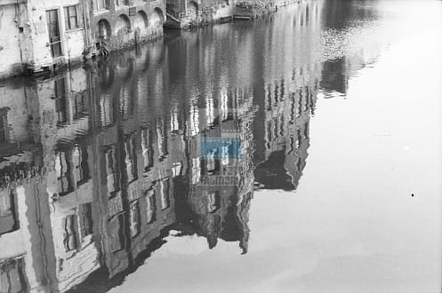 13556dbcac41a4e556b4399df8cd356e