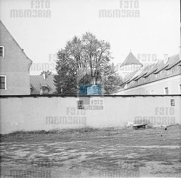 JC 023812 PASŁĘK
