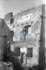 JC 016630 PASŁĘK