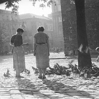 Rynek