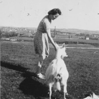 KRAKÓW - zbiór z lat 1940-1944