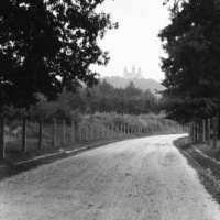 BIELANY