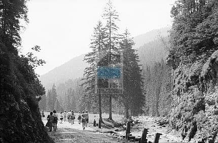 a744e686a071e091c357b9ad04f6a7d0