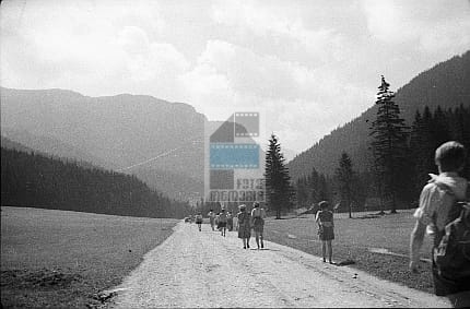 4732ab41a692c4bbfd5d83cb8be4b6e1