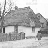 PETRYKOZY