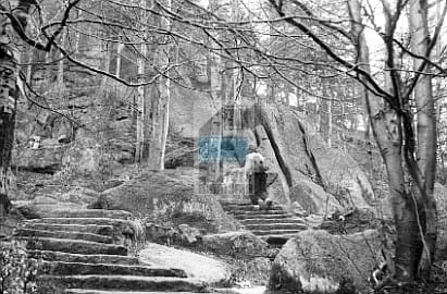 af6fc8cff2a540b23196f7042fd87720