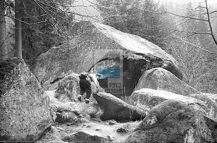 8fed0bdcb6b6ac1b1a6fdc5ea32e1bff