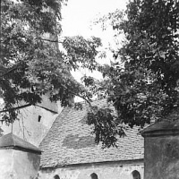 ŁĘCZYCA