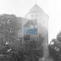 ŚWIDWIN [Schivelbein]