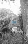 JC 008491 BENICE