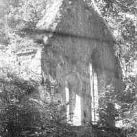Gmina WIDUCHOWA