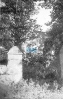 JC 007985 PACHOLĘTA