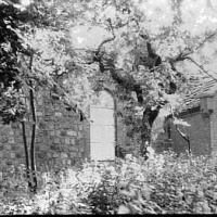 Gmina CHOJNA
