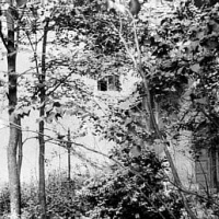 Gmina MIESZKOWICE
