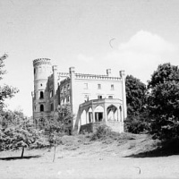 NIEDŹWIEDŹ [Niedewitz]